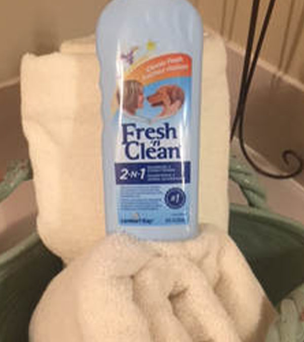 Fresh ‘n Clean Dog Shampoo