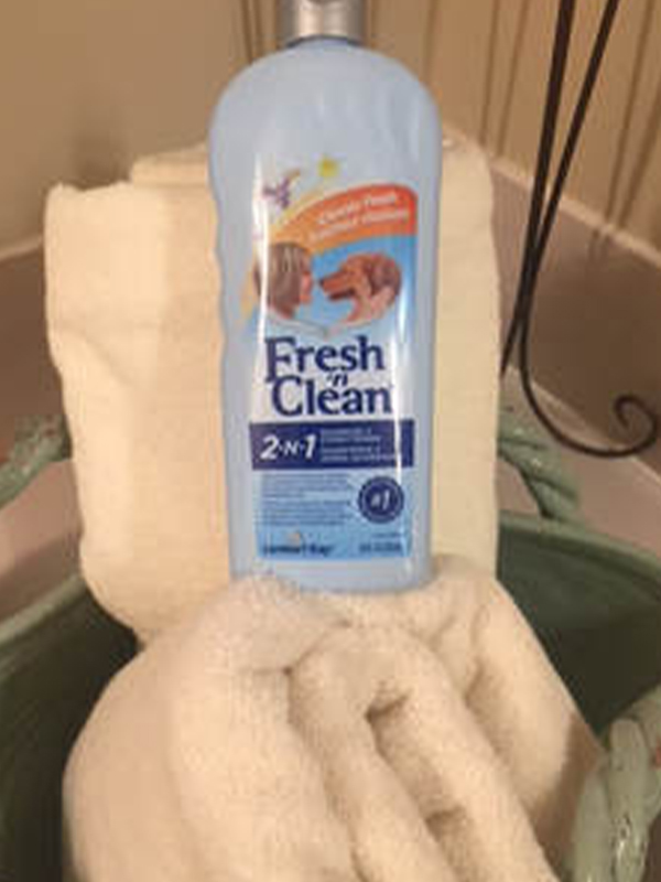 Fresh 'n Clean Dog Shampoo Two Adorable Labs
