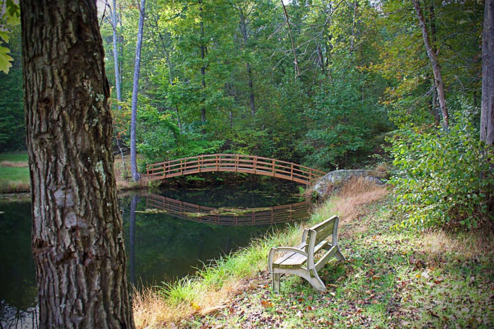 The Woodbury Cabin and Pond Two Adorable Labs