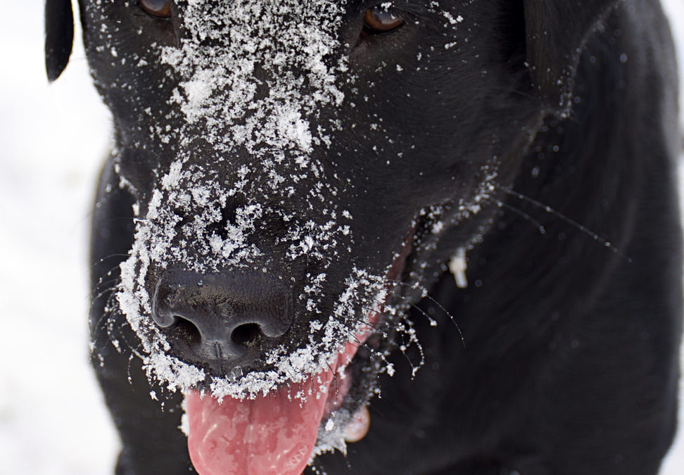 3 Simple Ways to Get Winter-Ready Without the Stress