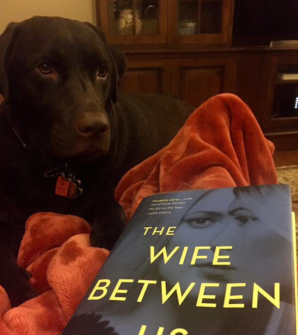 Book Review – The Wife Between Us