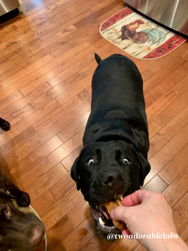Pea-nutty Apple Pie Treat - Two Adorable Labs