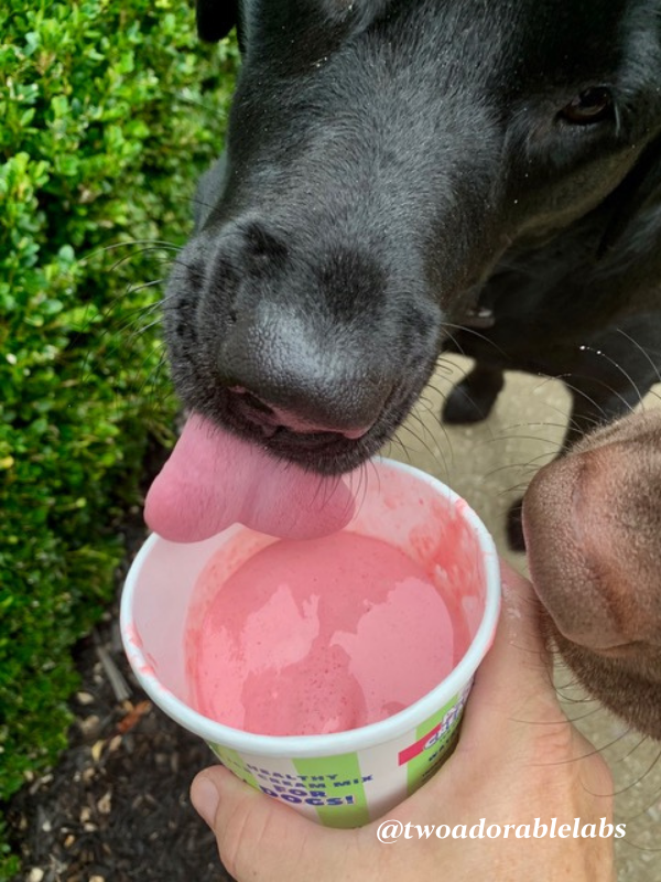 Ice cream mix for dogs