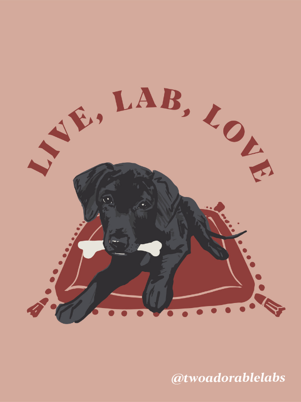 Live, Lab, Love Postcard