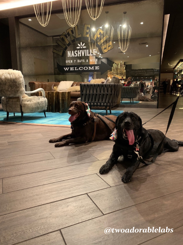 Jake and Maggie at Renaissance Hotel in Nashville