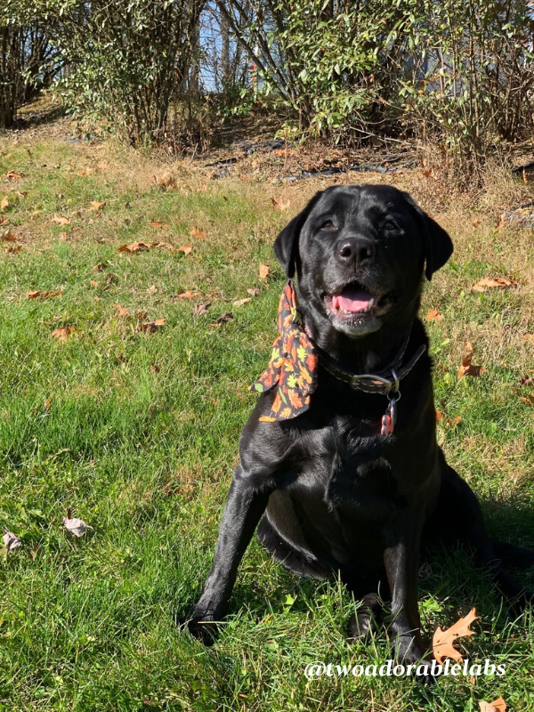 Maggie smiling