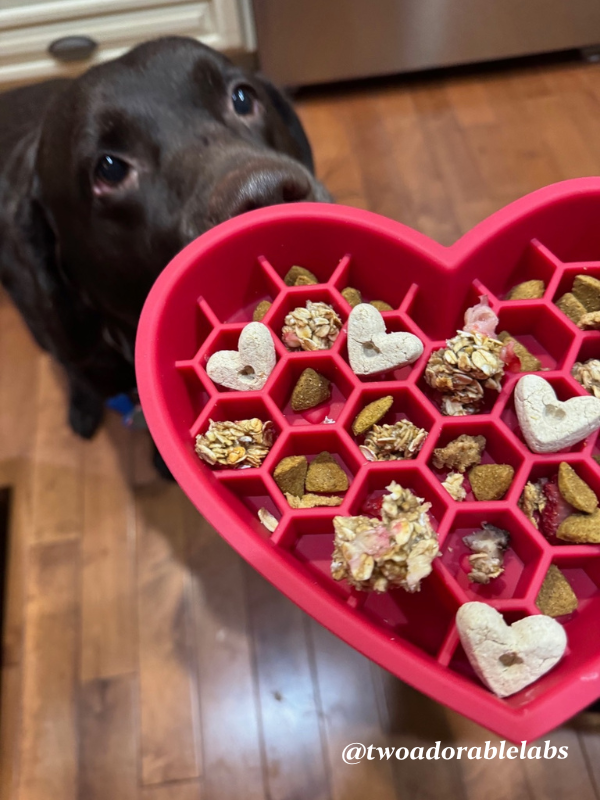 Strawberry Banana Heart and Bark Treats | www.twoadorablelabs.com