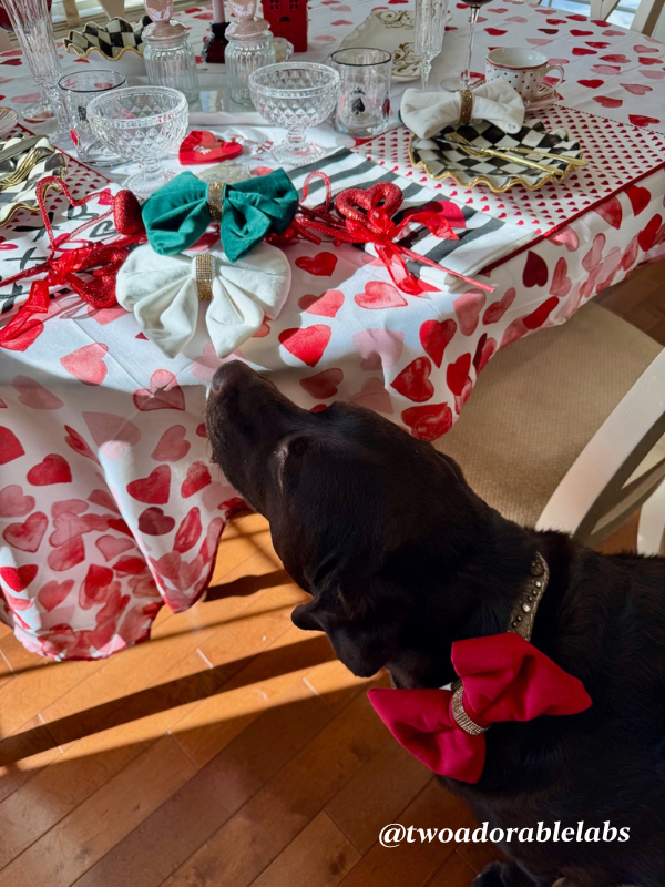 Valentine's Day Tablescape 2025 | www.twoadorablelabs.com