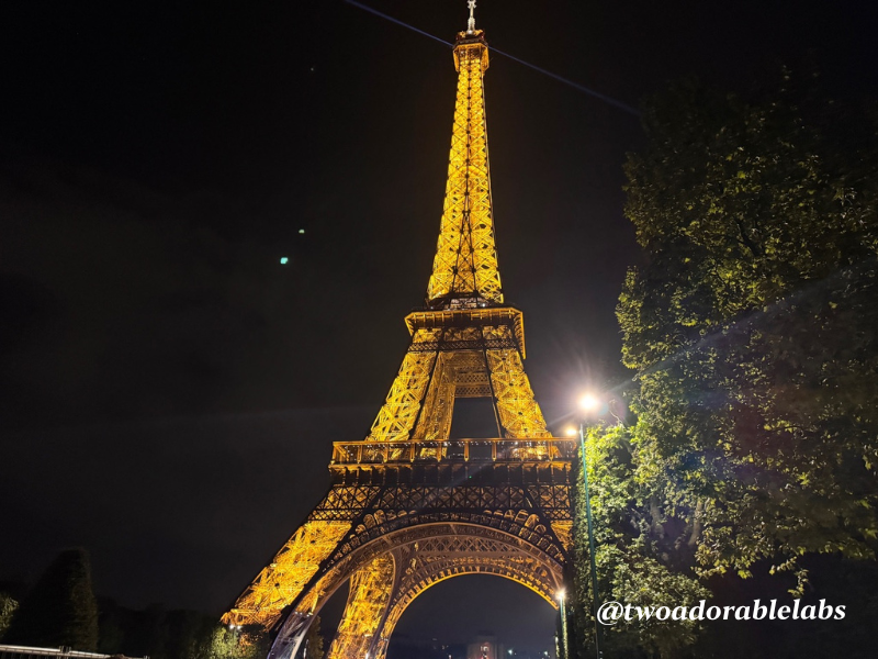 Paris Eiffel Tower 8