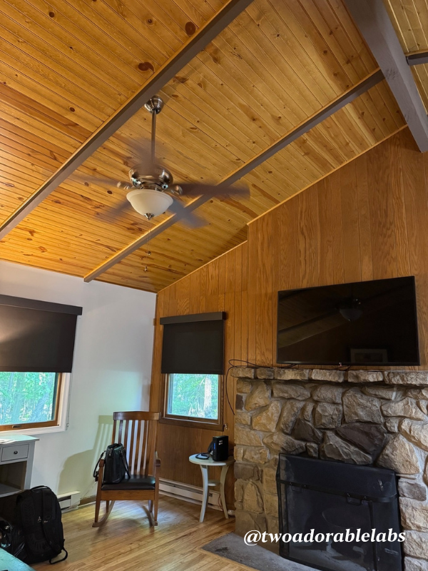 Cabin 2 Dog Friendly Canaan Valley Resort | www.twoadorablelabs.com
