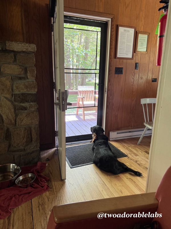 Cabin 4 Maggie Dog Friendly Canaan Valley Resort | www.twoadorablelabs.com