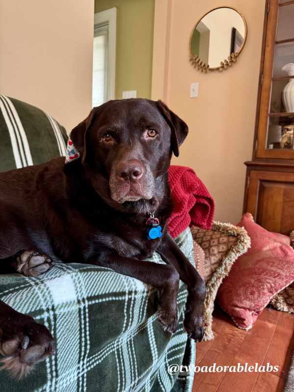 Jake handsome 1