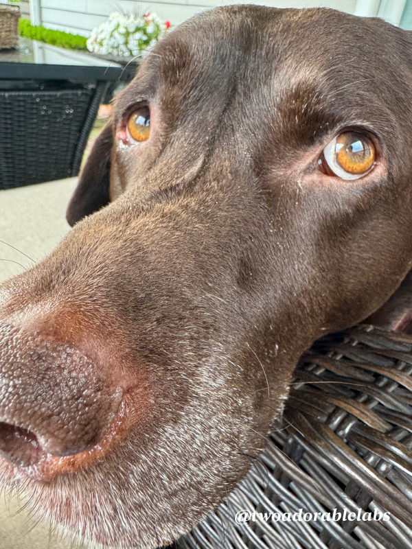 Jake looking at me