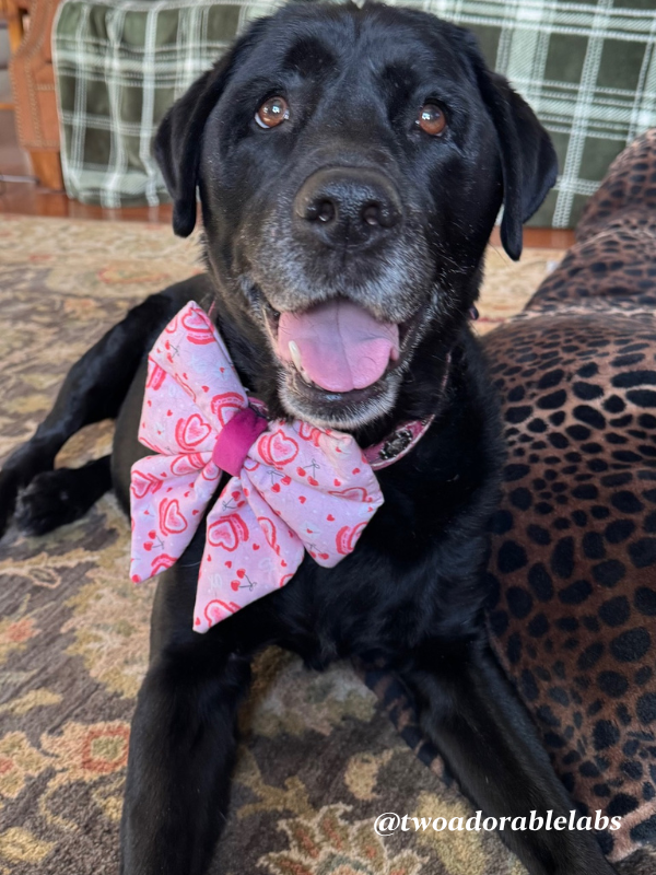 Bows and hearts tablescape | www.twoadorablelabs.com