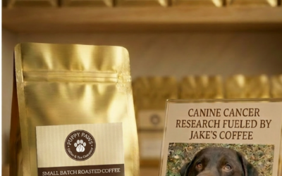 The Dimpled Bean, Fighting Canine Cancer One Cup At A Time