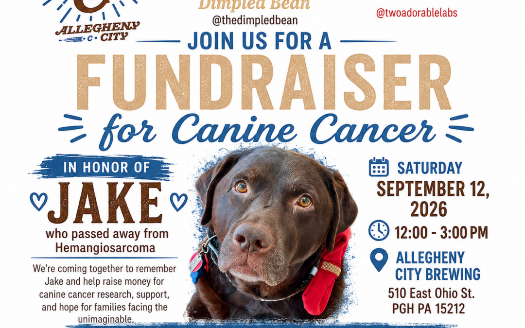 Jake’s Fundraiser Canine Cancer