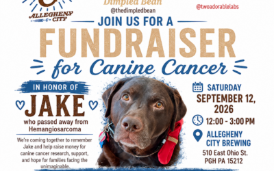Jake’s Fundraiser Canine Cancer